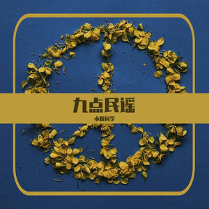 九点民谣 –不是因为寂寞才想你.DJ新版.mp3