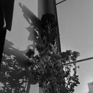 Ласкаво (demo)