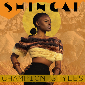Champion Styles (Gadi Sassoon Remix)