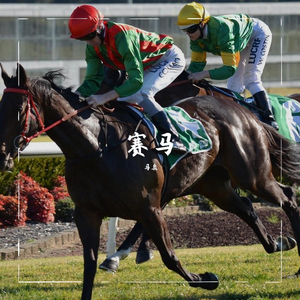 群星-赛马（bootleg）（马奥 remix）