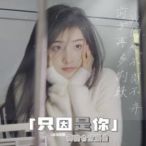 只因是你