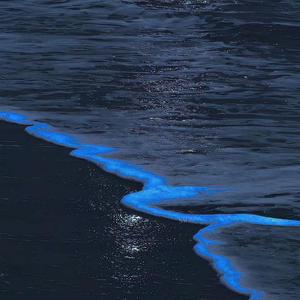 漠河舞厅（女声版）