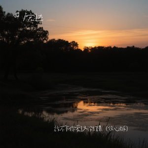 放不下你爱了又没结果