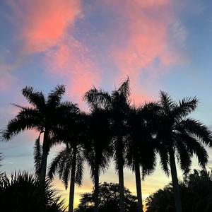 放慢脚步享受节奏卡点