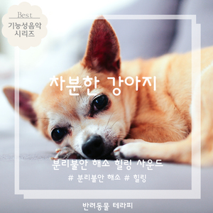 리스트 '사랑의 꿈' (강아지 자장가)