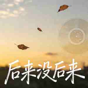 后来没后来
