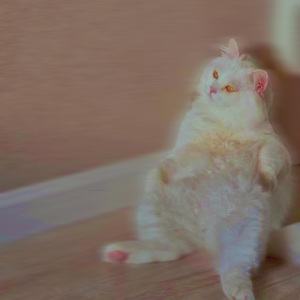 我本属于辽阔的草原