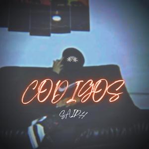 Codigos