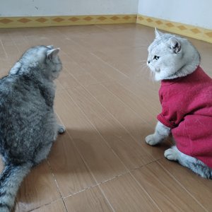 我们俩