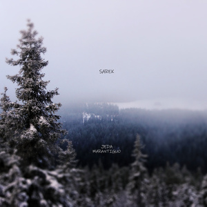 SAREK (Instrumental Version)