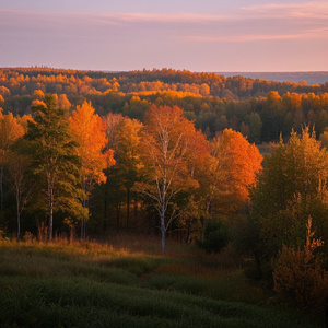 Fading Autumn Lights