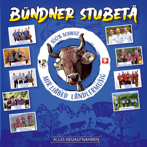 Express Pneuwechsel in Frauenkirch