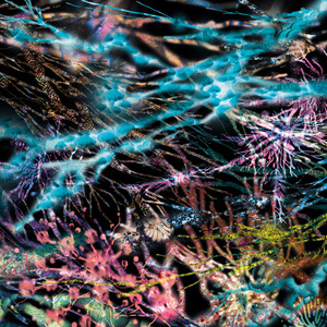 Reason (Ft. Tyrone Isaac Stuart)