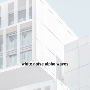 White Noise Black Screen