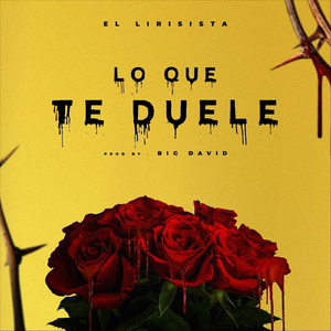 Lo Que Te Duele
