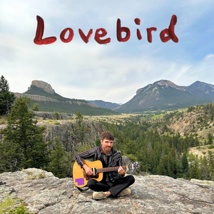Lovebird