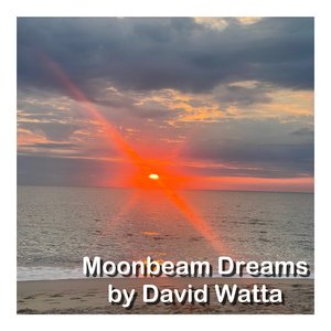 Moonbeam Dreams