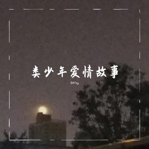 类少年爱情故事