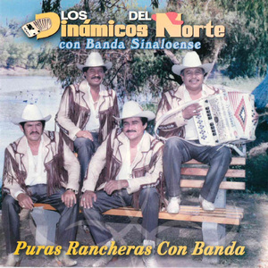 Cuentame Tus Penas (Version Banda)