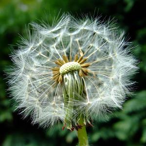 It's 11:11 (Make A Wish)