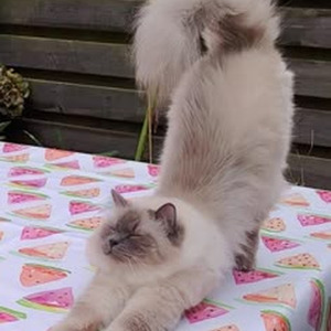 Take Me to the Beach (slowed)