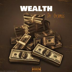 Wealth