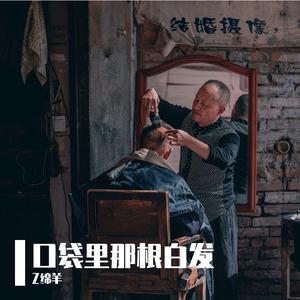 口袋里那根白发