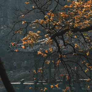 三寸天堂（钢琴版）