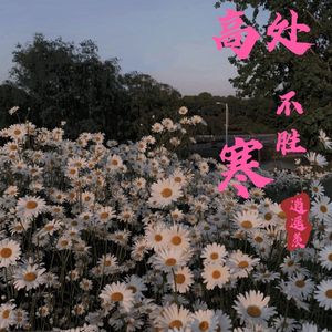 高处风雨不胜寒
