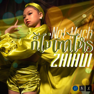 ก็ไม่เท่าไหร่ (Not much)