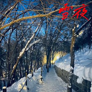 雪夜（prod by.ET-SOUL)