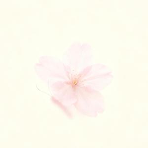 红（你呀 系红花 着红袍）