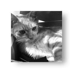 剑三群像-江湖意（Cover 众男女神）