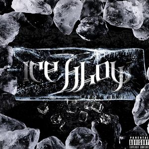 IcyFlow(remix)