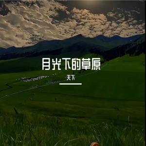 月光下的草原
