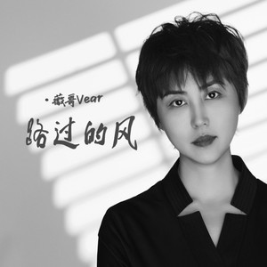路过的风