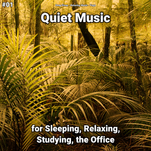 Quiet Music Pt. 85