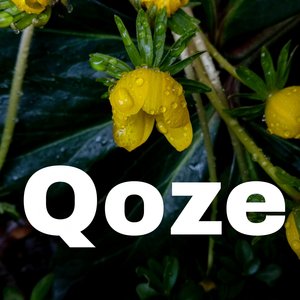 Qoze
