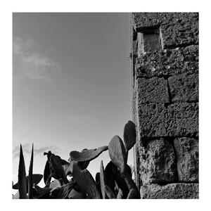 Expert (Per Andrea Esperti)