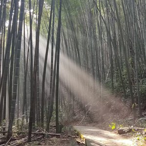 1_你离开以后.wav