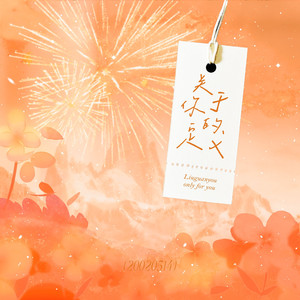 关于你的定义（刘冠佑应援曲）