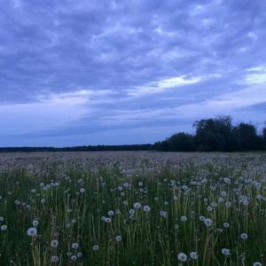 betteroffdead. (slowed down)