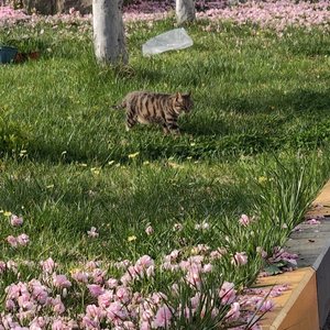 Once Young and Brave