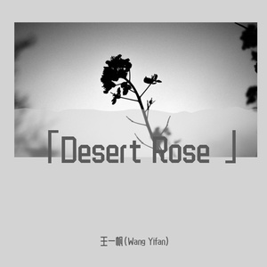 Desert Rose