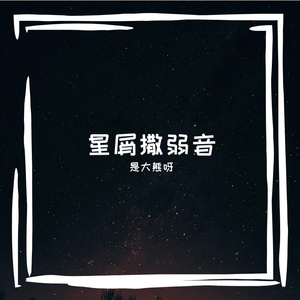 星光缀满音孔网