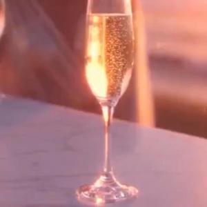 Alliance Summer party