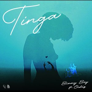 Tinga