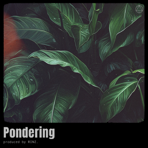 Pondering