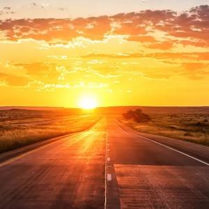 我看了56次日落