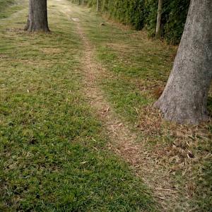 Paseo en Bici
